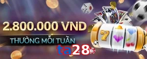 ta28
