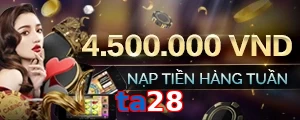 ta28