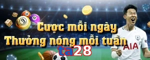 ta28